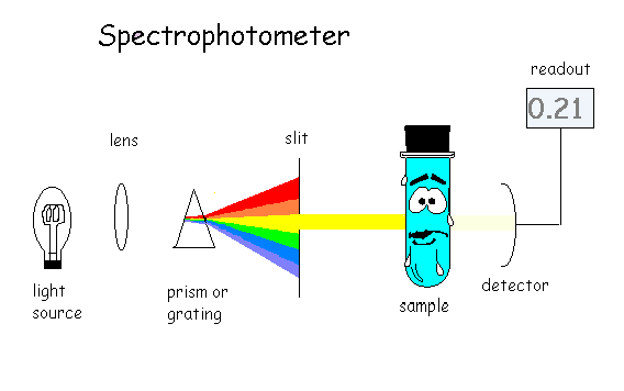 Hannah Graham and the UV Beer-Lambert Law problem